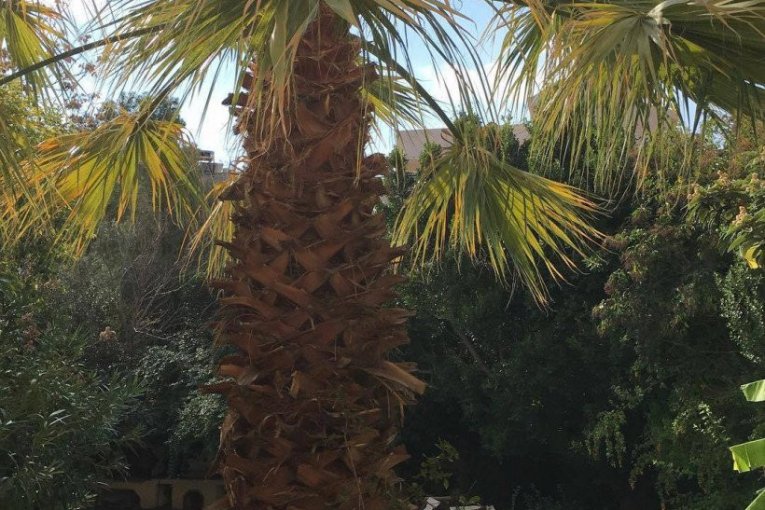 Nikolija Jovanović stan Atina Relja Popović