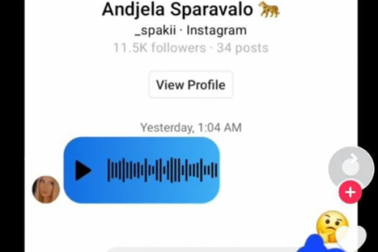 Prpeiske Anđela Šparavalo, Bojana Pavlović