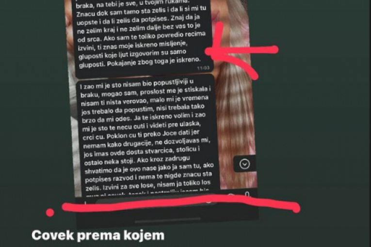 Vanja Ignjatović Instagram Nenad Aleksić Ša