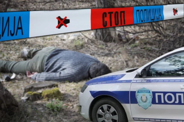 ODREĐEN PRITVOR MALOLETNIKU OSUMNJIČENOM ZA UBISTVO! Sa tinejdžerom odvukao Slavišu do potoka, pa ga vezali i tukli do smrti!