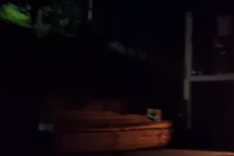 Marko Janjušević Janjuš