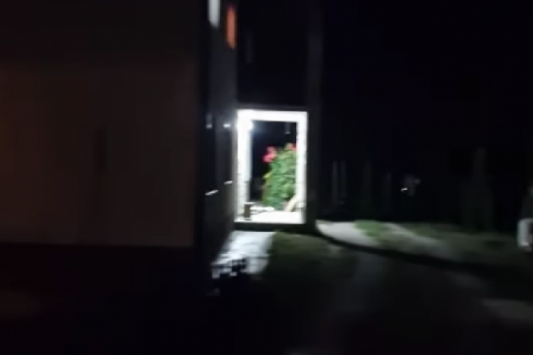 Marko Janjušević Janjuš