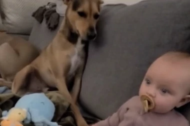 OVO JE DEFINICIJA LJUBAVI: Roditelji su ovekovečili okom kamere scenu koja dira u srce