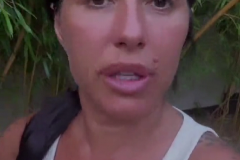 Seka Aleksić tiktok