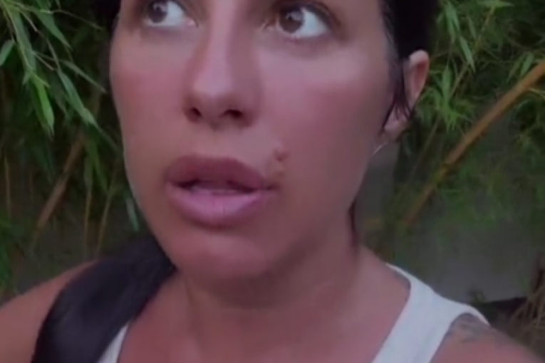 Seka Aleksić tiktok