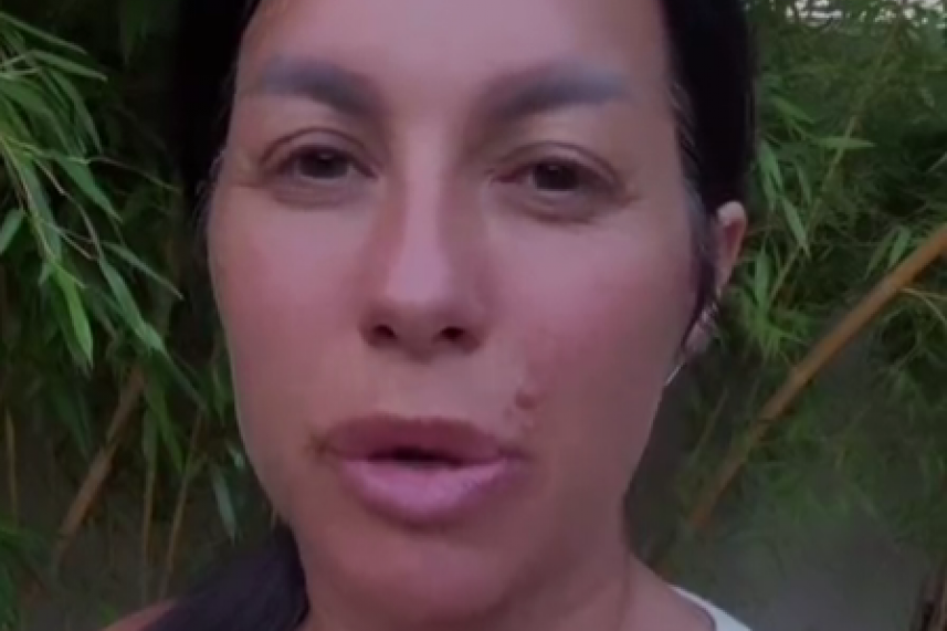 Seka Aleksić tiktok