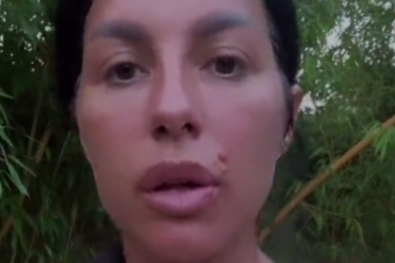 Seka Aleksić tiktok