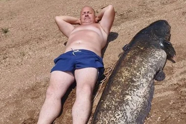 NA VLASINI ULOVLJENA PRAVA ZVER OD 60 KILOGRAMA I PREKO DVA METRA: "Majstor" se slikao pored nje - dva puta ćete razmisliti da li ponovo u reku! (FOTO)