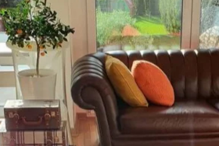 Jelena Tomašević i Ivan Bosiljčić kuća Šumice Beograd