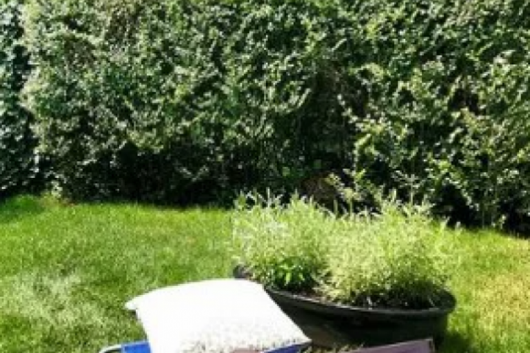 Jelena Tomašević i Ivan Bosiljčić kuća Šumice Beograd