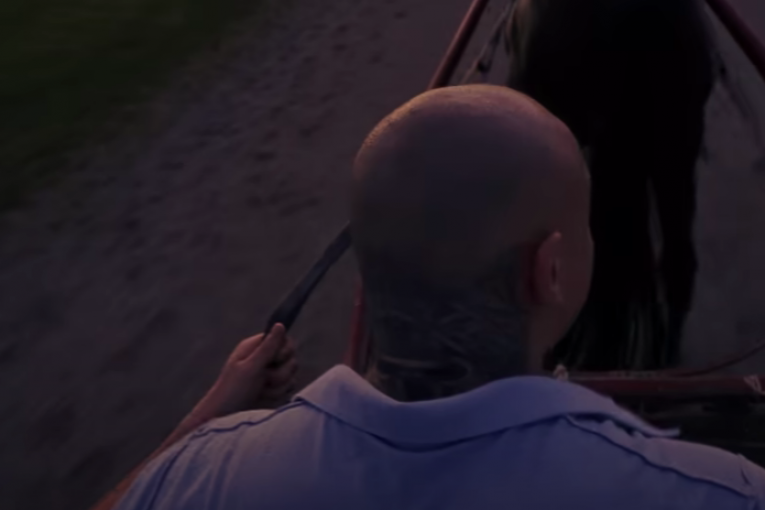 Desingerica - Rendalicca