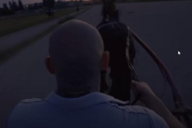 Desingerica - Rendalicca