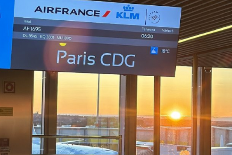 Stefan Karić u Parizu