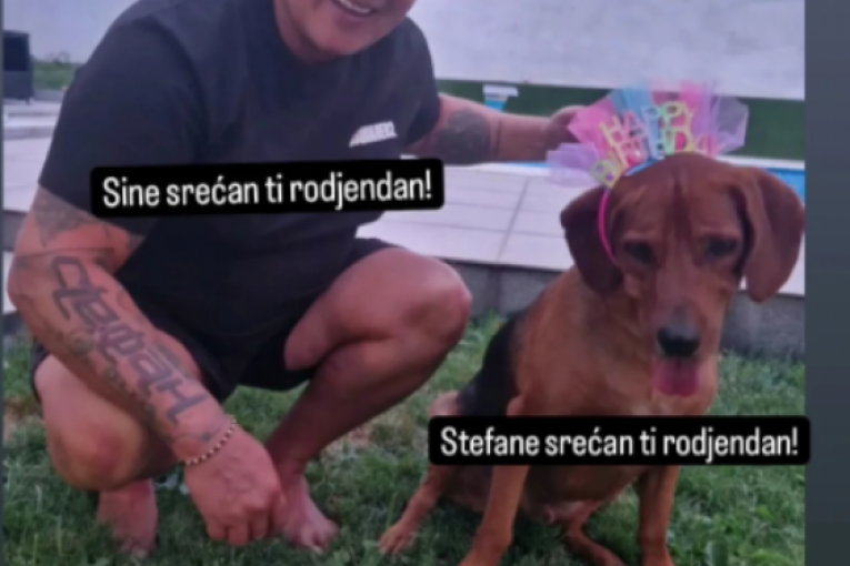 Čestitke Osmana Karića