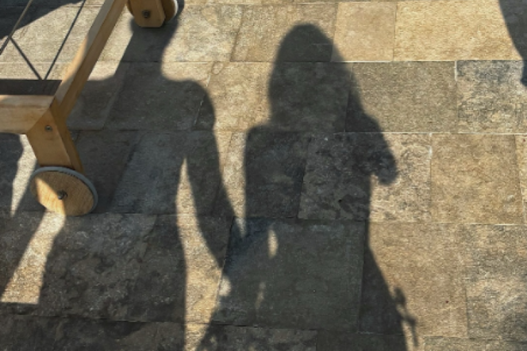 Vojažova devojka Tamara