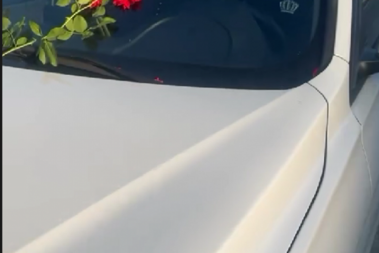 Ermina Pašović Instagram