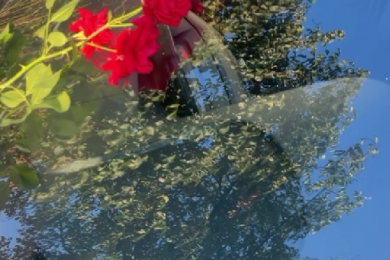 Ermina Pašović Instagram