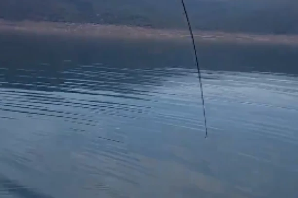 MARKO KRENUO DA PECA, A ONDA JE USLEDIO STRAHOVIT NAPAD IZ DUBINE! Objavljen zastrašujući snimak! (FOTO/VIDEO)