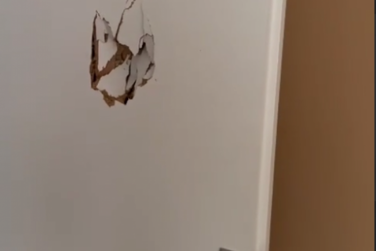 Marija Mudreša i Matija Radošević 