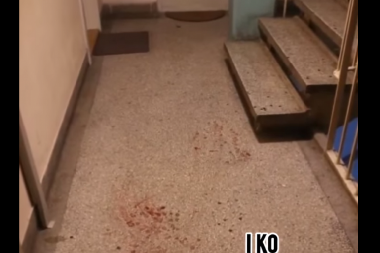 Jelena Ilić Marinković i Ivan Marinković