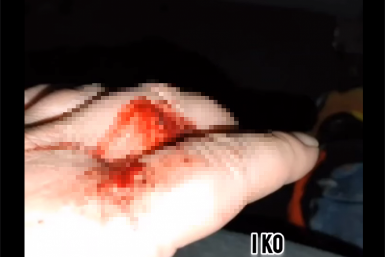 Jelena Ilić Marinković i Ivan Marinković