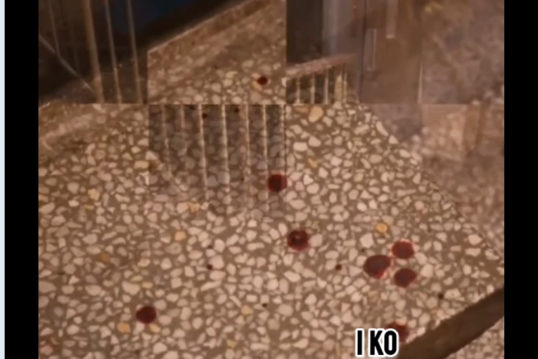 Jelena Ilić Marinković i Ivan Marinković