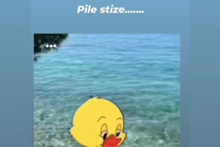 Đedovićeve provokacije