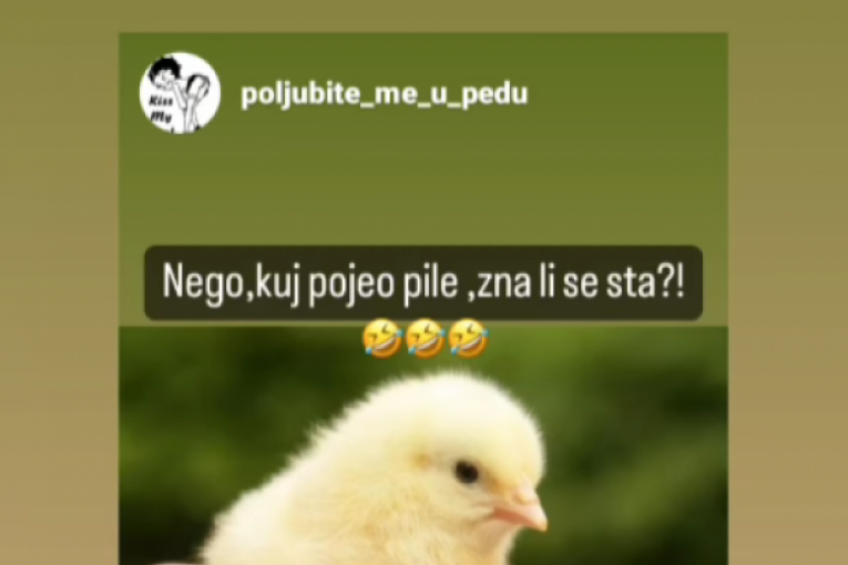 Đedovićeve provokacije