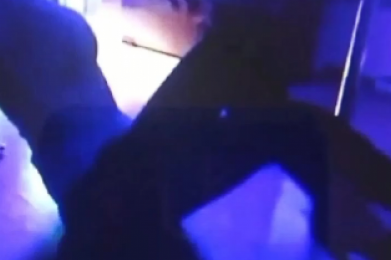 Jelena Radanović rani radovi