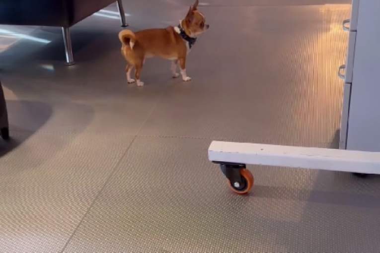 Milica Mitrović Instagram