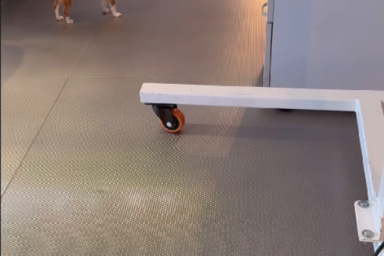 Milica Mitrović Instagram