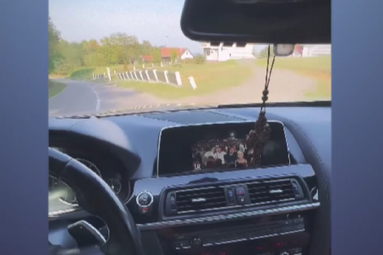 Lazar Čolić Zola Instagram