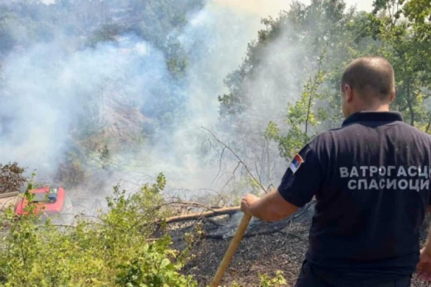 SUŠE I POŽARI NANELI OGROMNU ŠTETU! Oglasila se VLADA SRBIJE - U 5 gradova i 11 opština proglašene elementarne nepogode!