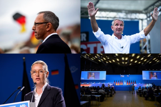 NEMAČKI AFD OSNOVAN DA ŠPIJUNIRA ZA PUTINA? Nemci teško optužili svoju stranku, evo ŠTA im je najsumnjivije da se dešava iza kulisa