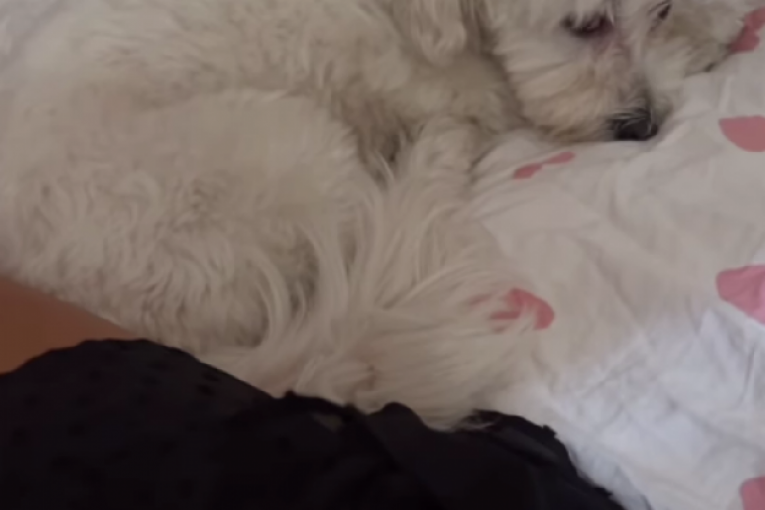 Jelena Ilic Instagram