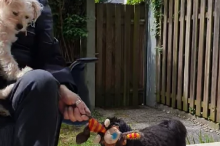 Ovako izgleda kuća Bore Čorbe