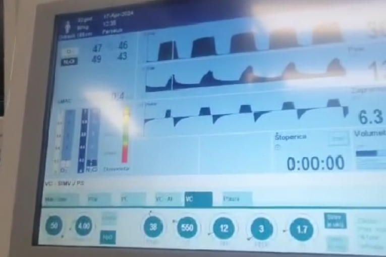 Tina Ivanović Instagram