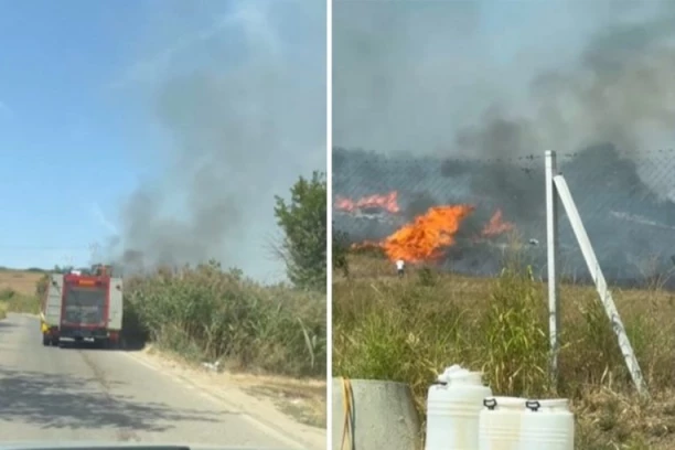 ŠIRI SE POŽAR U VINČI! Vatra se približava kućama, poslate dodatne ekipe vatrogasaca (VIDEO)