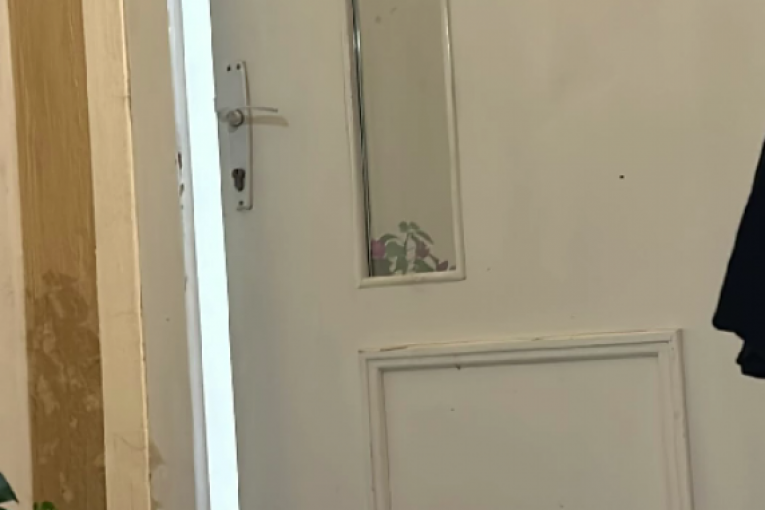 Jelena Ilić Instagram