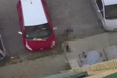 MONSTRUOZNO! DEČAK (10) TUKAO MAČE DO SMRTI! Jeziva scena snimljena u Trsteniku! (UZNEMIRUJUĆI VIDEO)