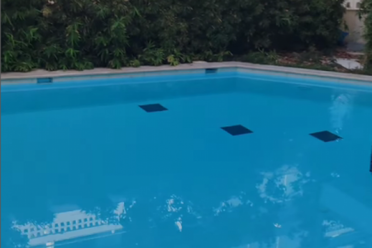 Vesna Dedić, snimak iz Grčke