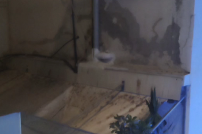 Vesna Dedić, snimak iz Grčke