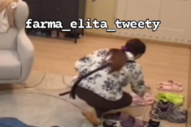 Jelena Ilić Marinković Elita 8