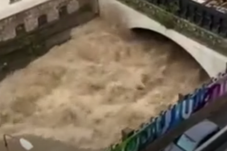 Dunav divlja po Evropi