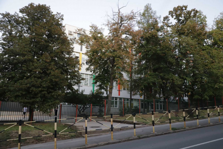 Osnovna škola ''Banović Strahinja'', dete palo s prozora