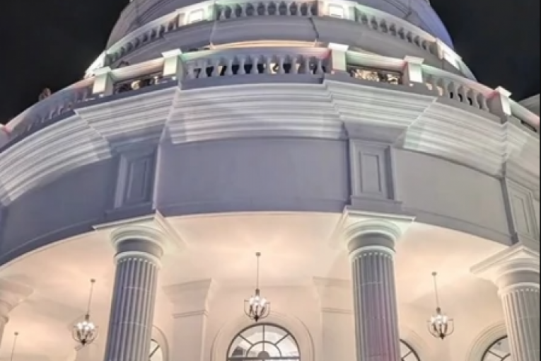 Željko Mitrović žurka kuća Dedinje Pink