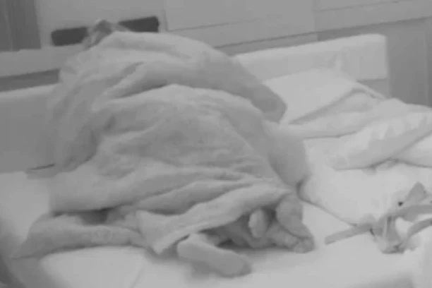 ANELI PONOVO DIVLJA POD POKRIVAČEM, MATEJA SE IŽIVLJAVAO NAD NJOM! Brutalna vrela akcija razbudila ukućane!