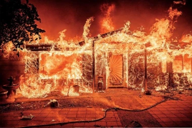 VELIKI POŽAR KOD BORA! Buktinja guta hektare, spaseno OSAM KUĆA: Borba sa vatrenom stihijom i dalje traje!