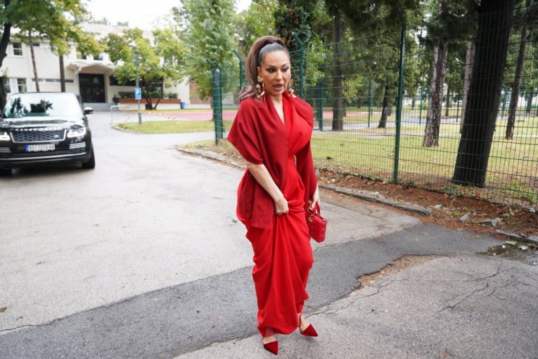 Ceca Ražnatović slike