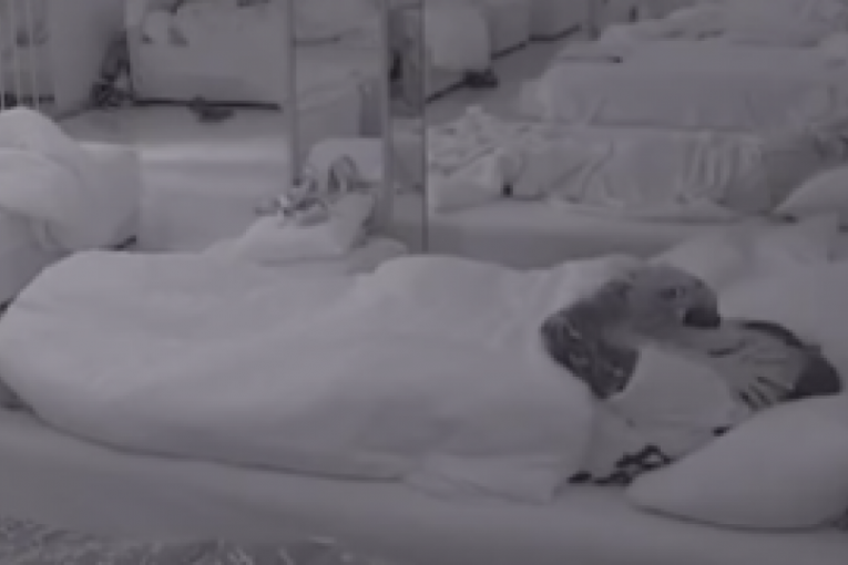 Miona Jovanović i Nenad Aleksić Ša